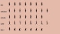 pixel art animation pixel character game art pixel art sprite sheet 2d pixel art