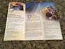 design bifold, trifold brochure