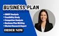 write a business plan, market research and feasibility study