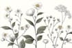 do best botanical line art illustration