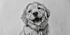 create custom acrylic paintings, digital art, or portrait drawings