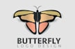 create a beautiful butterfly logo design