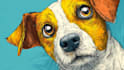 draw an awesome pet cartoon portrait