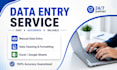 provide accurate data entry and excel services