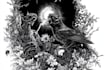 draw black and white illustrations