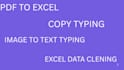 do fast data entry, copy paste, pdf to excel within 24 hours