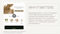 audit and optimise your klaviyo email flows
