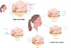 create medical and scientific illustrations