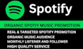 usa spotify music promotion, usa spotify music link