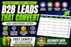 do data enrichment  lead enrichment maps scraper  b2b data  data appending