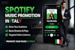 do spotify music promotion in italy