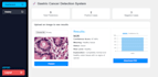 create machine learning and deep learning models