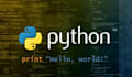 do python scripting, automation and bug fixing