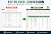 convert PDF to excel and clean the data professionally