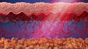 do custom 3d product science and medical animation video