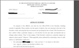 draft US probate petitions and legal documents