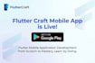 build responsive websites and mobile apps with SEO