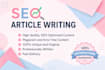 be your blog content writer and website content writer