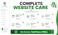 provide monthly wordpress maintenance and website care plan service