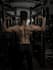 create a personalised workout plan for fat loss or muscle gain