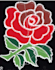 do embroidery digitizing into dst pes emb files