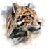 create realistic animal illustration