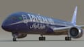 create livery or wrap for xplane , msfs 2020,2024 for flight simulator