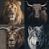 draw all kinds of animals