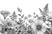 create elegant minimalist botanical line art illustrations