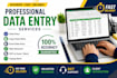 do accurate data entry,copy paste, excel,web research