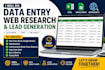 do data entry, web research and lead generation