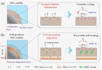 create scientific plots, schemes, and publication graphics