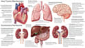 do medical and scientific illustrations