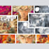 draw manga comic pages and professional graphic