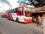 make viral bus videos