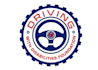 design elegant driving logo