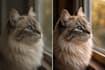 upscale, enhance, and fix blurry images to high resolution