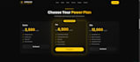 build frontend website using HTML CSS javascript