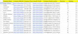 scrape a website and return the results in a excel file