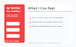 test your website and find bugs