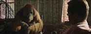 do professional vfx, compositing, cgi compositing, 3d animation, fire explosion