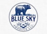 do make a wonderful bear logo