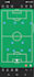 provide expert soccer tactical analysis and training plans
