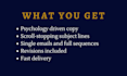 write persuasive email copy that converts and drives sales