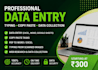 provide fast and reliable data entry services