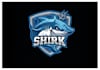 create modern shark logo t shirt design