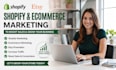 setup shopify store marketing,  shopify store promotion expert