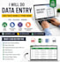 do fast and accurate data entry copy paste typing work