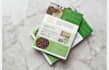 design professional flyer brochure leaflets