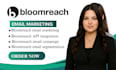 setup  bloomreach campaign bloomreach email marketing bloomreach API integration